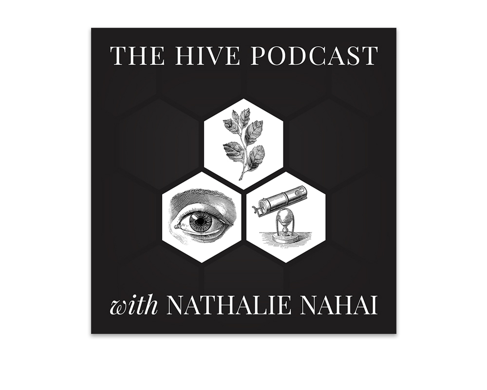The Hive Podcast - cover art